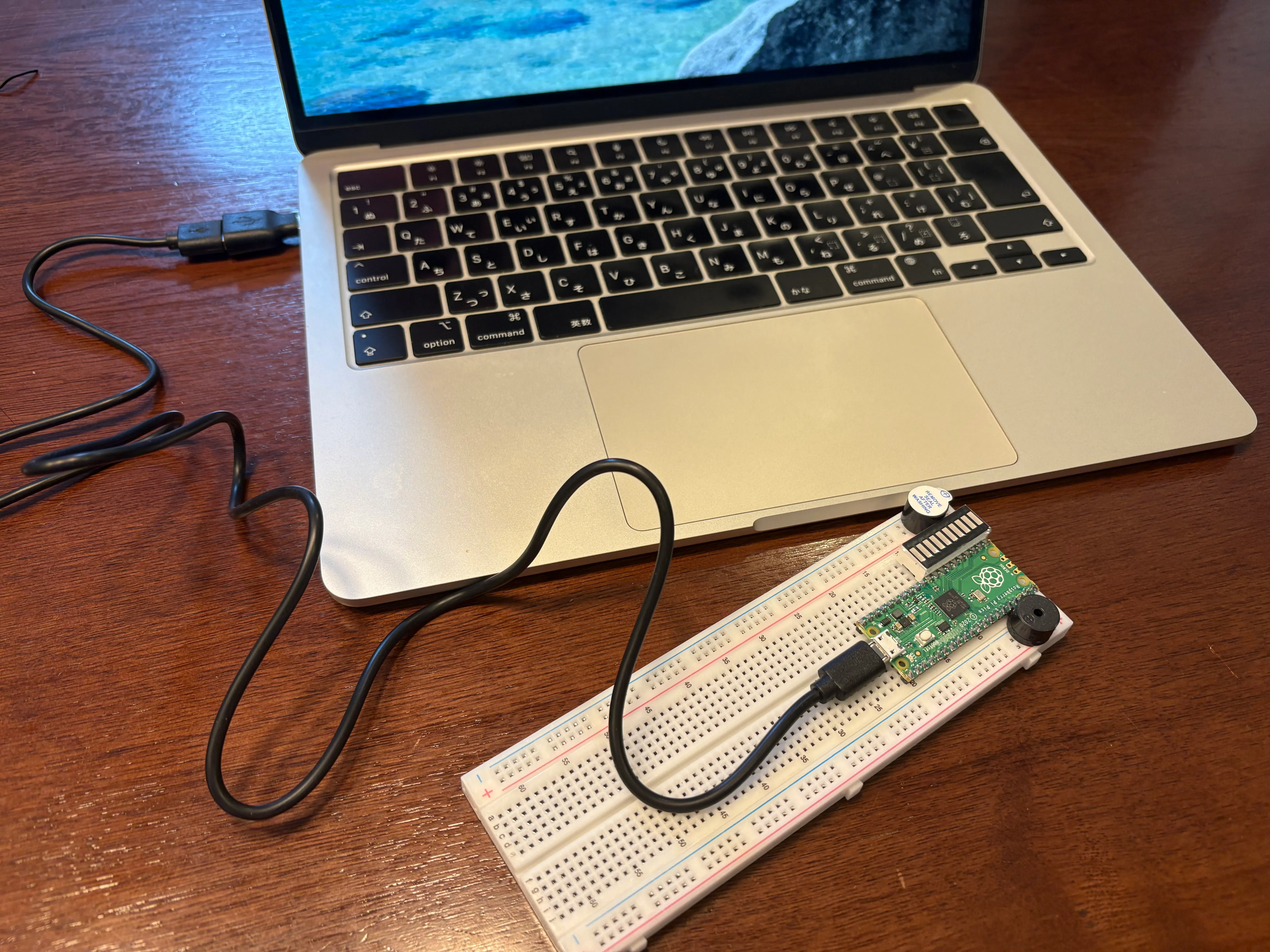 PicoとMacを接続した様子